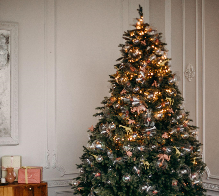 Choosing the Perfect Christmas Tree: Tips for Informed Purchases